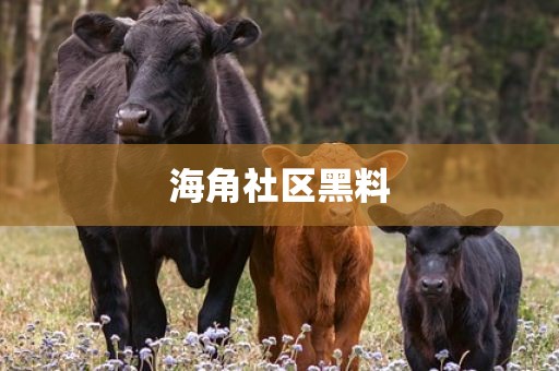 海角社区黑料
