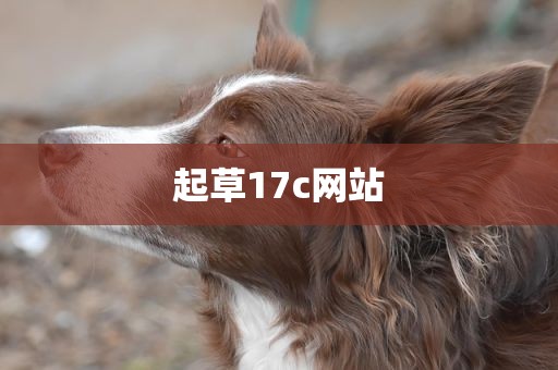 起草17c网站