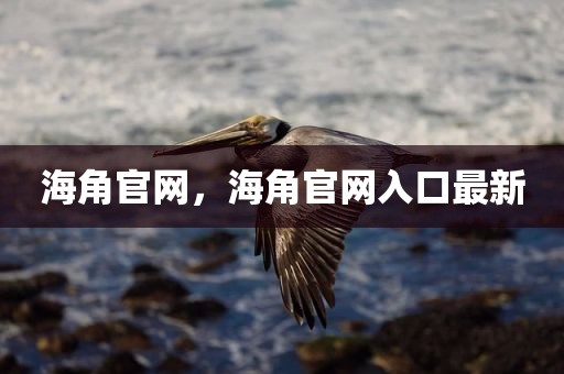 海角官网，海角官网入口最新