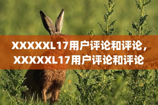 XXXXXL17用户评论和评论，XXXXXL17用户评论和评论