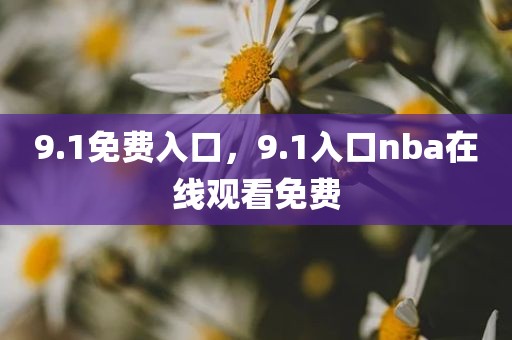 9.1免费入口，9.1入口nba在线观看免费