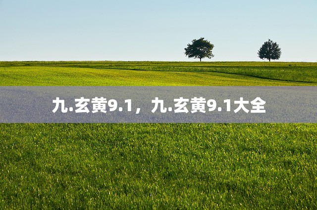 九.玄黄9.1，九.玄黄9.1大全