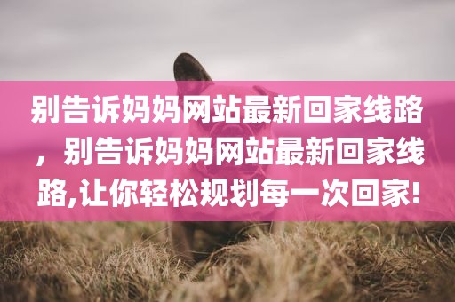 别告诉妈妈网站最新回家线路，别告诉妈妈网站最新回家线路,让你轻松规划每一次回家!