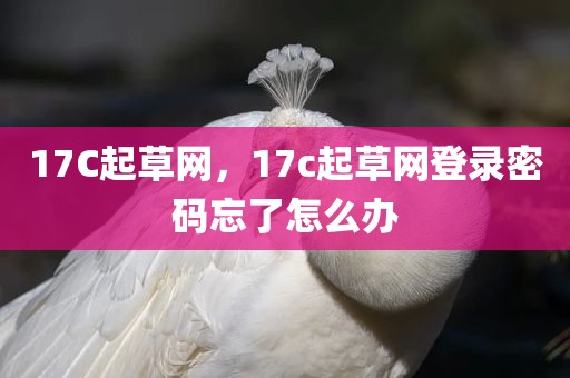17C起草网，17c起草网登录密码忘了怎么办
