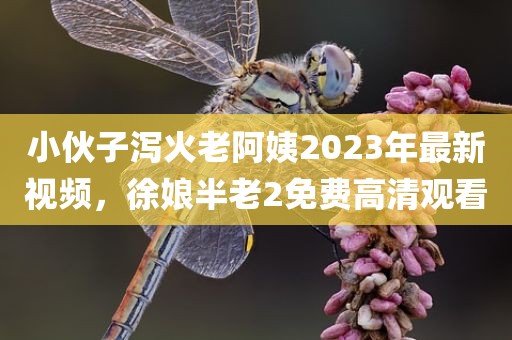 小伙子泻火老阿姨2023年最新视频，徐娘半老2免费高清观看