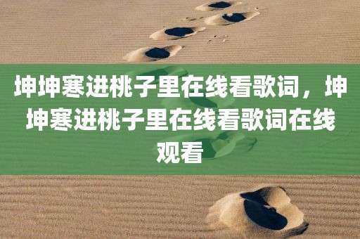 坤坤寒进桃子里在线看歌词，坤坤寒进桃子里在线看歌词在线观看