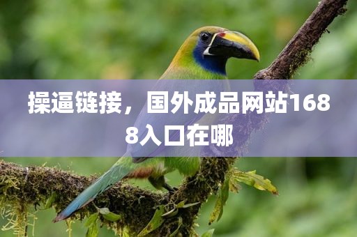 操逼链接，国外成品网站1688入口在哪