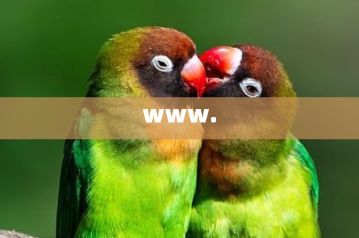 www.