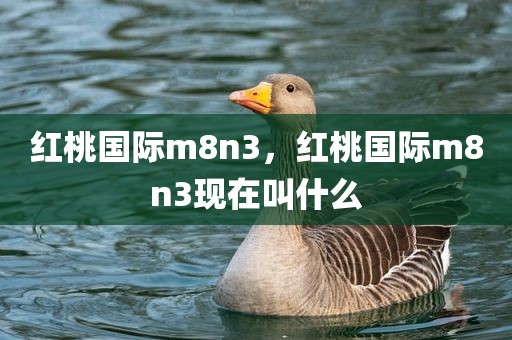 红桃国际m8n3，红桃国际m8n3现在叫什么