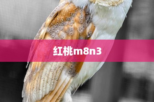 红桃m8n3