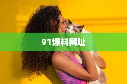 91爆料网址