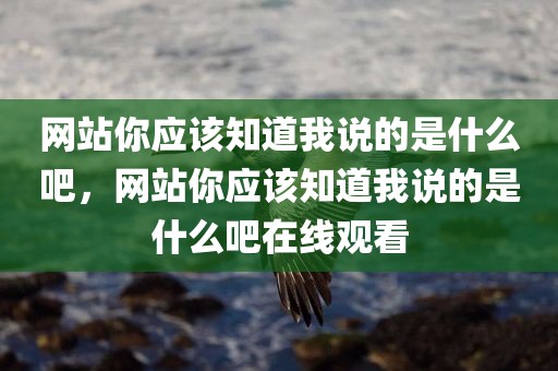 网站你应该知道我说的是什么吧，网站你应该知道我说的是什么吧在线观看