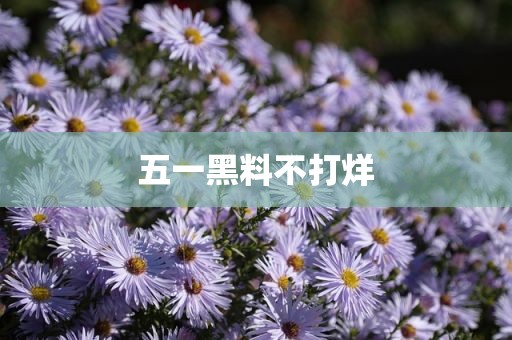 五一黑料不打烊