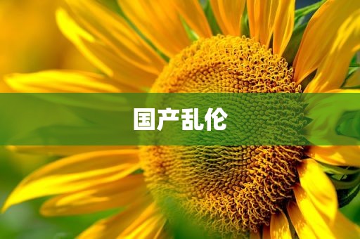 国产乱伦