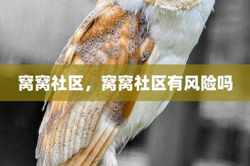 窝窝社区，窝窝社区有风险吗