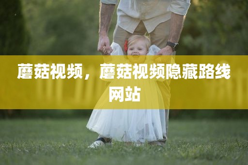 蘑菇视频，蘑菇视频隐藏路线网站