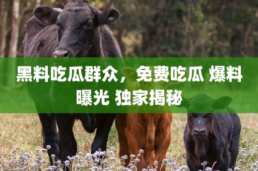 黑料吃瓜群众，免费吃瓜 爆料曝光 独家揭秘