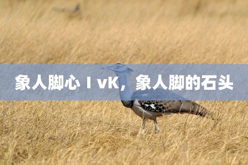 象人脚心ⅠvK，象人脚的石头