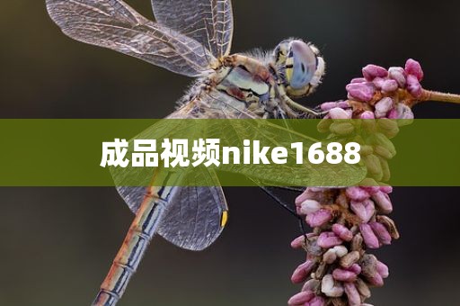 成品视频nike1688