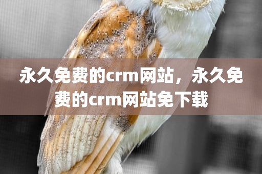 永久免费的crm网站，永久免费的crm网站免下载