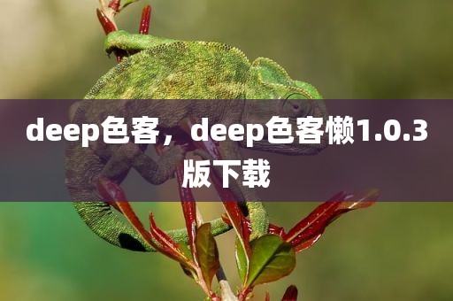 deep色客，deep色客懒1.0.3版下载