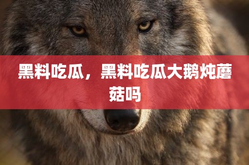 黑料吃瓜，黑料吃瓜大鹅炖蘑菇吗