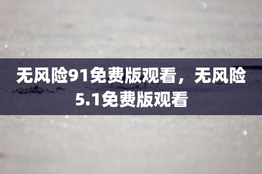 无风险91免费版观看，无风险5.1免费版观看