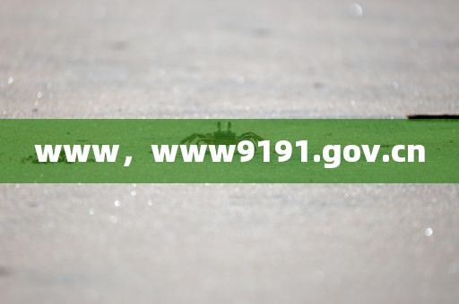 www，www9191.gov.cn