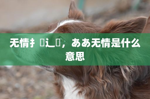无情扌臿辶畐，ああ无情是什么意思