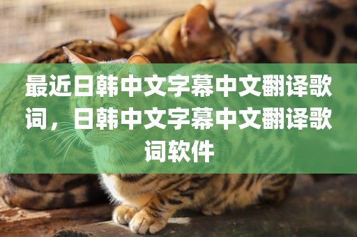 最近日韩中文字幕中文翻译歌词，日韩中文字幕中文翻译歌词软件