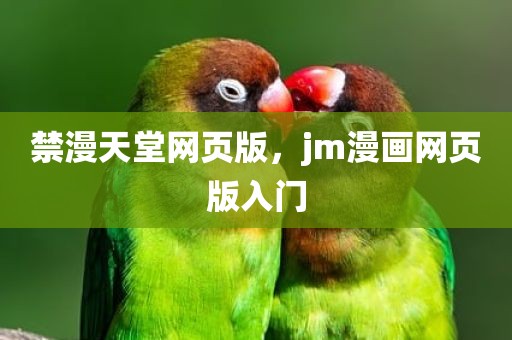 禁漫天堂网页版，jm漫画网页版入门