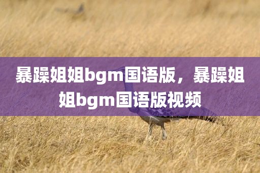 暴躁姐姐bgm国语版，暴躁姐姐bgm国语版视频