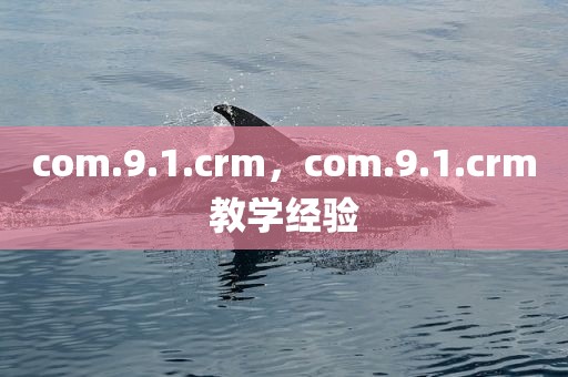 com.9.1.crm，com.9.1.crm教学经验