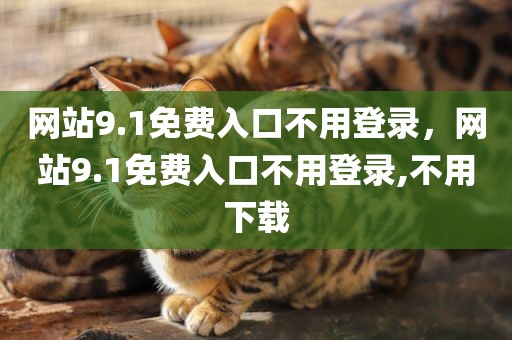 网站9.1免费入口不用登录，网站9.1免费入口不用登录,不用下载
