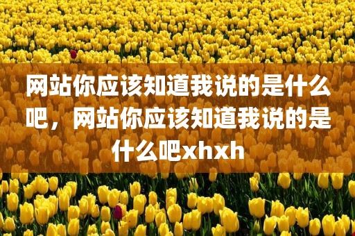 网站你应该知道我说的是什么吧，网站你应该知道我说的是什么吧xhxh