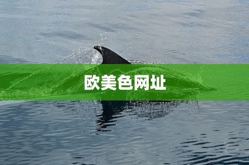 幼女破处，少女的第一的视频