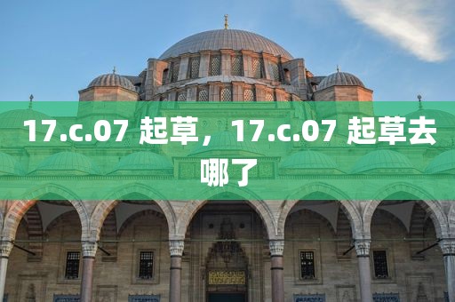 17.c.07 起草，17.c.07 起草去哪了