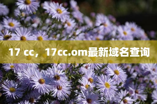 17 cc，17cc.om最新域名查询