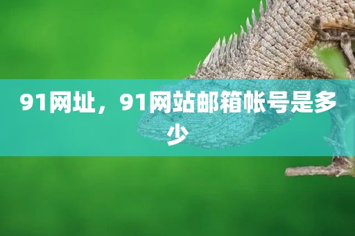 91网址，91网站邮箱帐号是多少