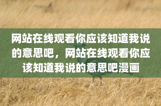 网站在线观看你应该知道我说的意思吧，网站在线观看你应该知道我说的意思吧漫画