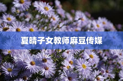 夏晴子女教师麻豆传媒