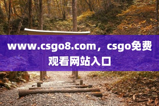 www.csgo8.com，csgo免费观看网站入口