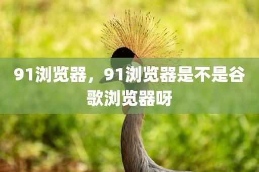 91浏览器，91浏览器是不是谷歌浏览器呀