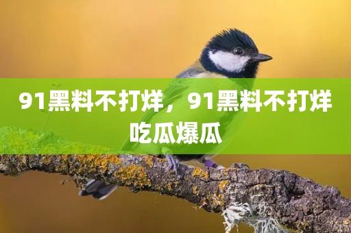 91黑料不打烊，91黑料不打烊吃瓜爆瓜
