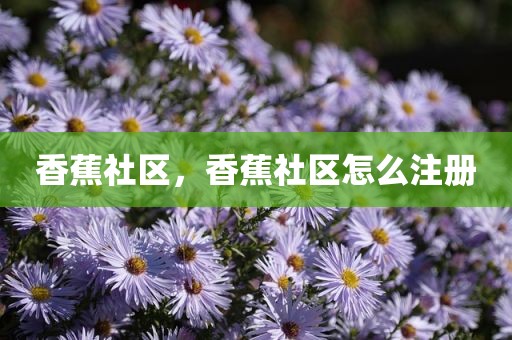 香蕉社区，香蕉社区怎么注册