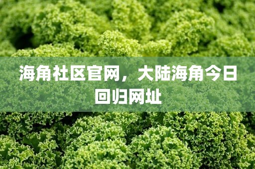 海角社区官网，大陆海角今日回归网址