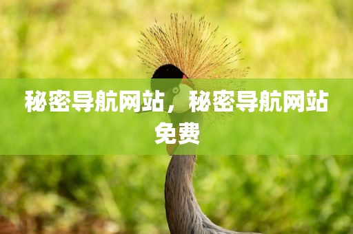 秘密导航网站，秘密导航网站免费
