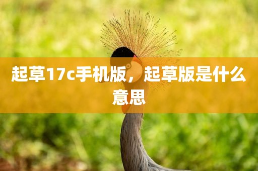 起草17c手机版，起草版是什么意思
