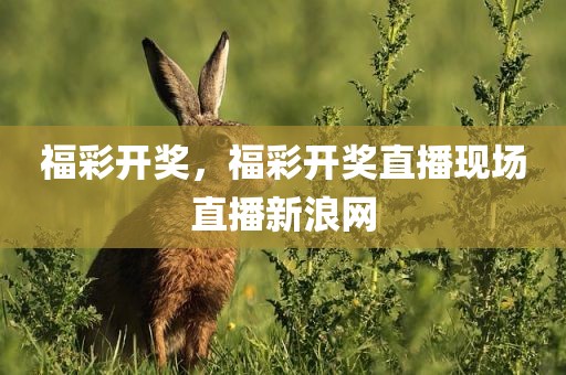 福彩开奖，福彩开奖直播现场直播新浪网