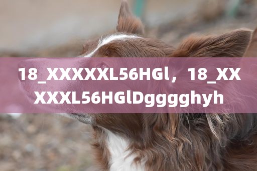 18_XXXXXL56HGl，18_XXXXXL56HGlDgggghyh